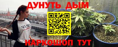 прущие грибы Бузулук