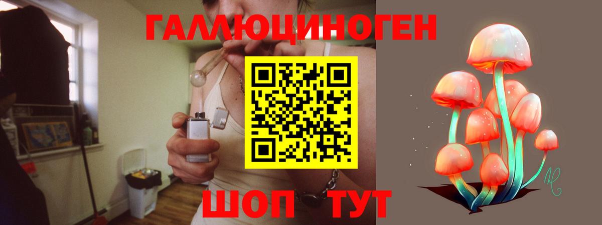 Тутаев  Галлюциногенные грибы мухоморы  Вход с VPN 